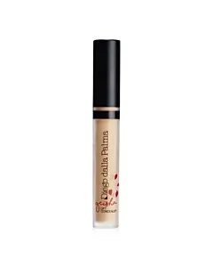 Geisha Lift Concealer
